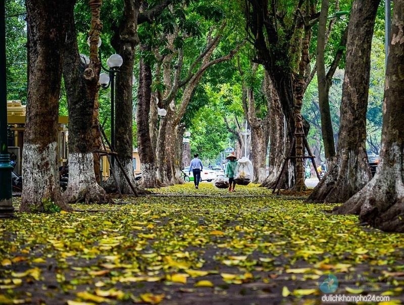 Mùa thu ở Hà Nội là một trong những thời điểm đẹp nhất trong năm.