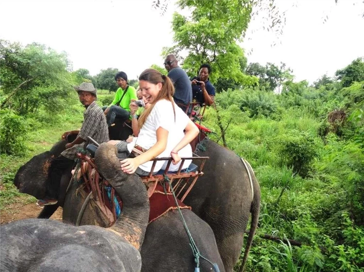 Taweechai Elephant Camp là một trại voi nằm ở Thái Lan, nơi du khách có thể trải nghiệm và tìm hiểu về cuộc sống của voi và những hoạt động bảo vệ và chăm sóc chúng.