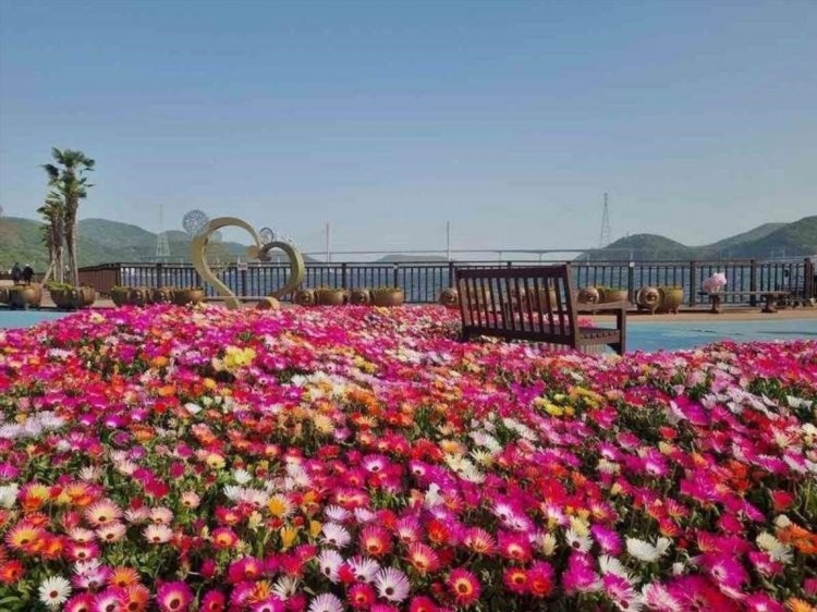 Ở Changwon, bạn có thể tham gia vào nhiều hoạt động thú vị như khám phá các công viên và vườn hoa đẹp, thưởng thức ẩm thực đặc sản vùng này và tham quan các danh lam thắng cảnh nổi tiếng.