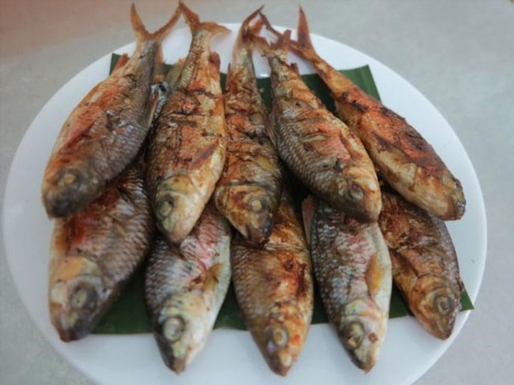 10 Cá Mát sông Giăng là một danh lam thắng cảnh nổi tiếng ở Việt Nam, nơi bạn có thể tận hưởng không chỉ cảnh đẹp của con sông mà còn được thưởng thức những món ăn ngon từ cá tươi sống.